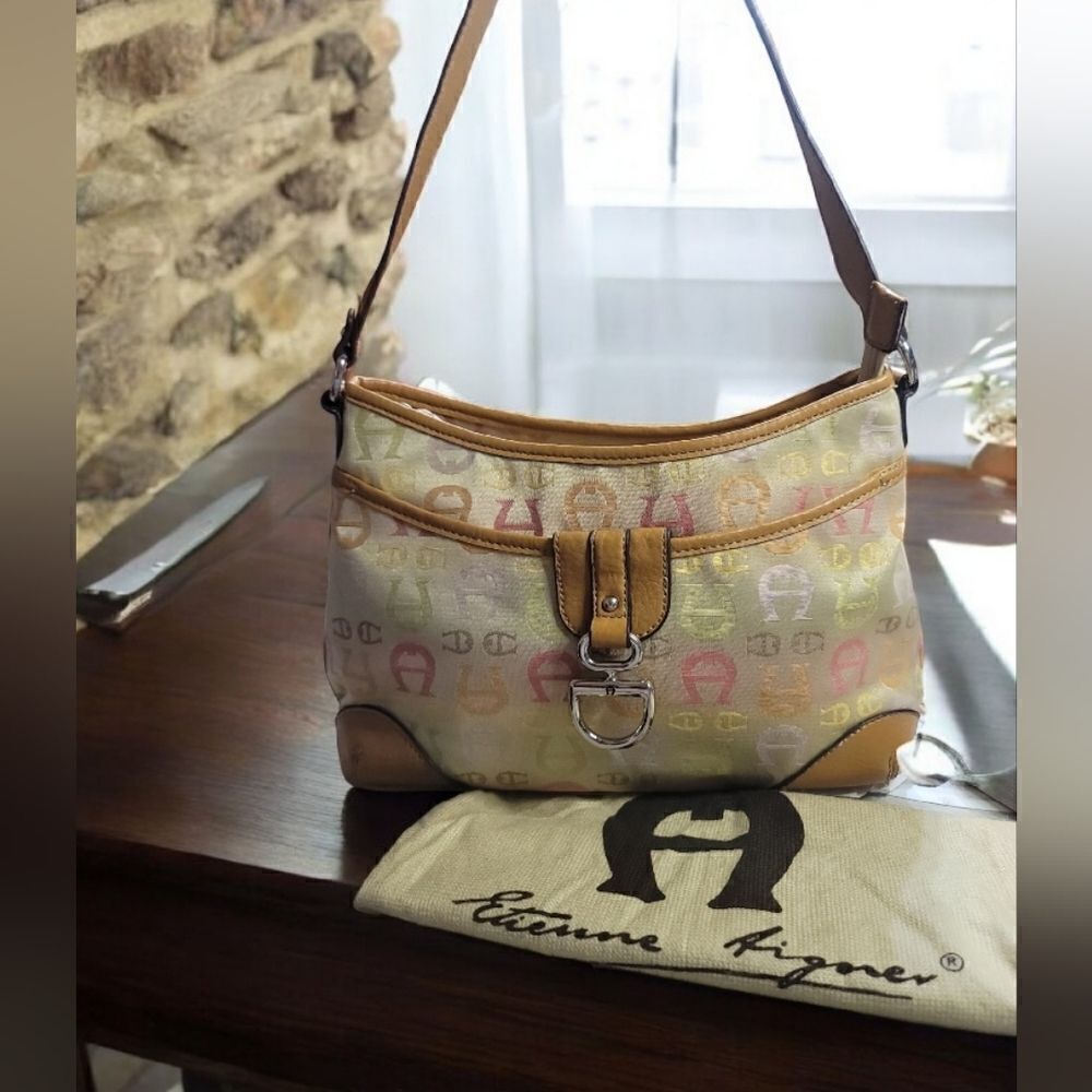 Etienne Aigner Multicolor Shoulder Bag